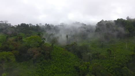 Low-altitude-aerial-flight-over-a-primary-tropical-rainforest,-foggy-and-mystic.